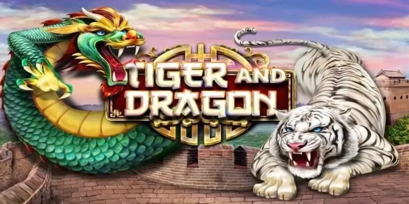 Rồng Hổ 88bet – Chinh phục đỉnh cao cá cược 2025